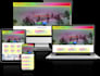 create SEO optimized, highly secure, responsive and eye catching cms website