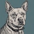 draw a pet portrait using linocut style