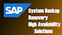 expert sap basis, system, and suse admin