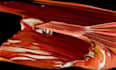 create 3d cloth simulation  3d water  3d cgi animation  vfx animation  video ads