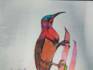 draw a realistic insect or animal