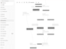 do data science and ai automation projects with python