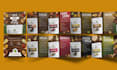 make an amazing brochure for you