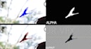 do vfx rotoscoping, chroma keying, green screen, object remove