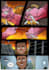 draw comic books, manga and illustrations