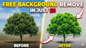 remove tree background from image in just 5 dollar