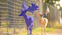 do rotoscoping, vfx, chroma keying and cleanup professionally