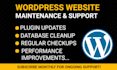 provide maintenance help and support monthly