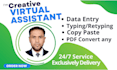 fast wordpress data entry, excel work and virtual assistant services