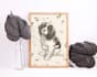 draw pencil illustration pet portrait dog cat, scribble art