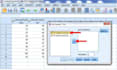 do statistical data analysis in spss and excel