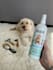 create golden doodle dog ugc for pet products