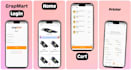 do offline mobile app development android app and ios app using fluttter
