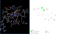 conduct the molecular docking and analysis