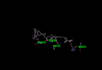 conduct the molecular docking and analysis