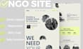 build powerful wordpress sites for nonprofits or ngos