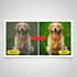 enhance and upscale low quality photos to high resolution