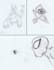 hand draw whatever you want