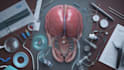 do medical and scientific illustrations