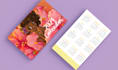 create beautiful illustrated calendars