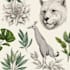 draw animal and botanical illustration