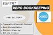 do accounting and bookkeeping using xero