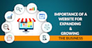 design and develop a bussiness website as you want
