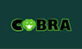 create wordmark and abstract logo