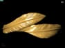 create 3d cad ring design for 3d printing and jewelry casting