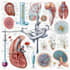 create scientific and medical illustrations