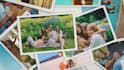 create celebration of life photo montage and memorial video