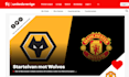 design and develop wordpress website or store professionally