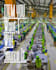 handle end to end garment sourcing in bangladesh for your fashion brand