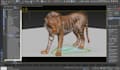 do 3d animal animation, 3d animal rigging, 3d animal vfx compositing, animal fur