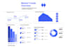 design a professional unique infographic