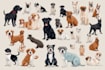 draw illustration pet portrait vector art
