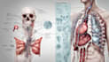 draw anatomical, medical and scientific illustrations