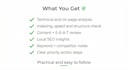 audit your website and deliver a complete SEO strategy to boost rankings