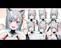 design and rig 2d vtuber model, live2d, anime vtuber, chibi using vtube studio