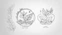 create hand drawn botanical boho logo designs