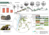 do professional site analysis and concept diagrams