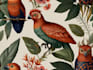 draw an animal and botanical illustration