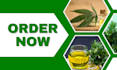 build 7fiigures shopify cannabis website cbd store vape store cbd shopify store