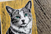 draw a pet portrait using linocut technique