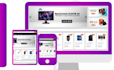 launch your successful dropshipping business, store setup and support