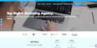 build responsive wordpress website design