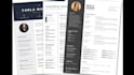write harvard cv and executive resume