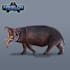 create animal and creature illustrations
