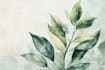 create a botanical watercolor illustration, floral drawing