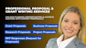 write investor ready business plan with market research and financial projects